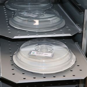 Plate Covers