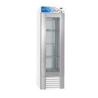 Gram ECO MIDI FG60LLG4W Freezer 